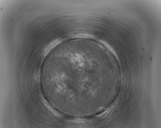 X0000087410437200704271716