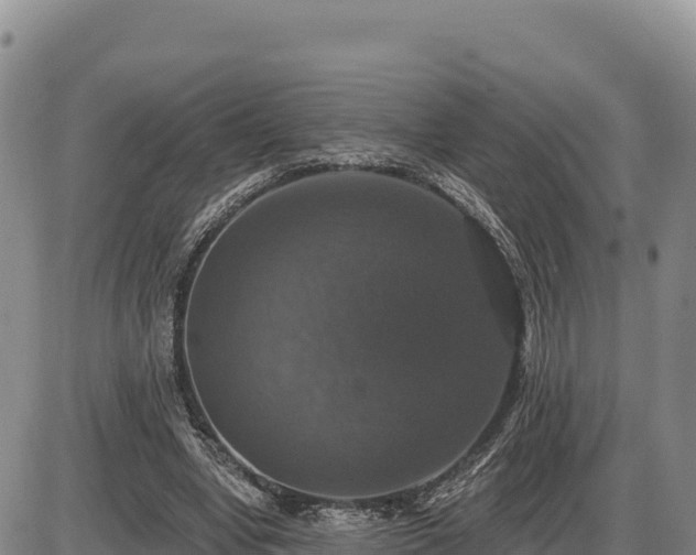 X0000087410442200704271716