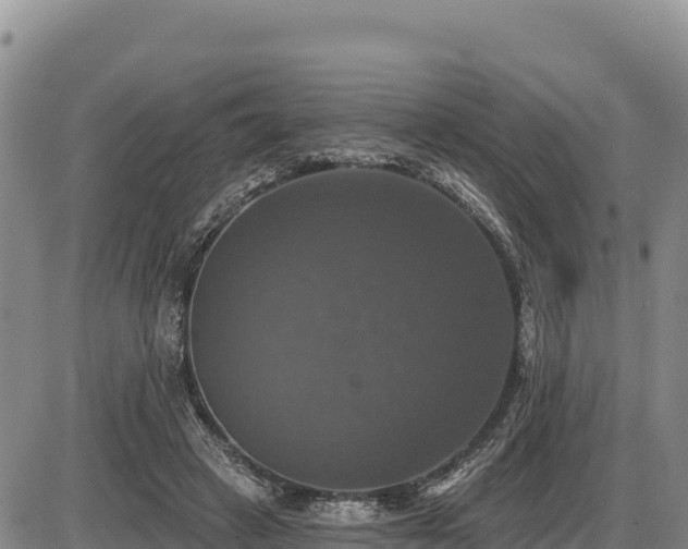 X0000087410449200704271716