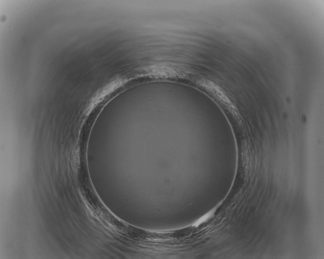 X0000087410488200704271716