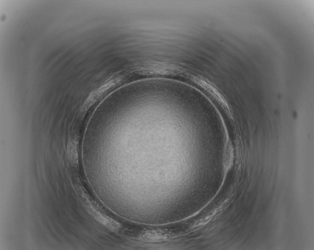 X0000087410489200704271716