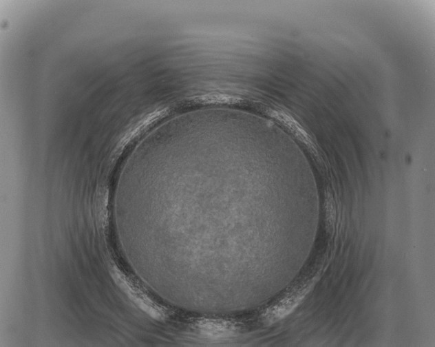 X0000087410490200704271716