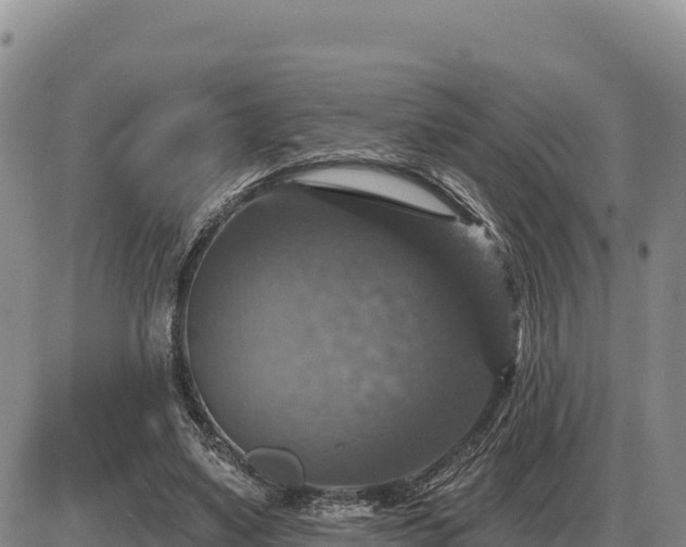 X0000087410491200704271716