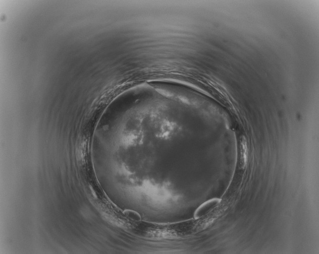 X0000087410503200704271715
