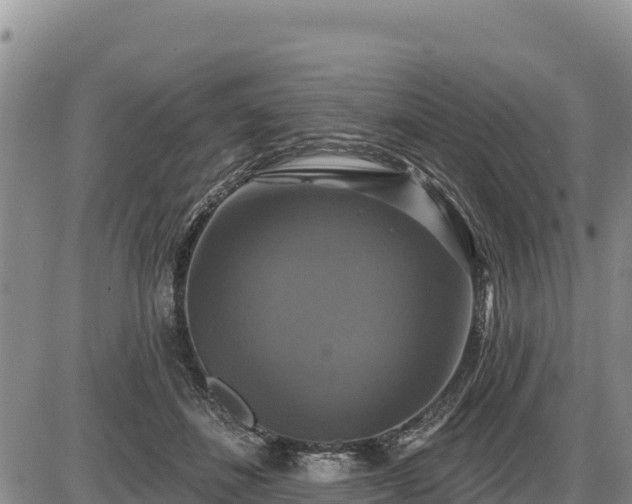 X0000087410508200704271715
