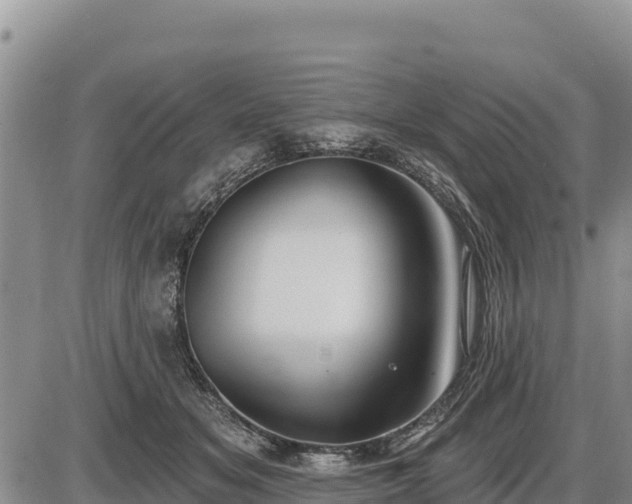 X0000087410509200704271715