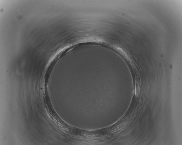 X0000087410531200704271714