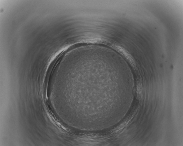 X0000087410532200704271714