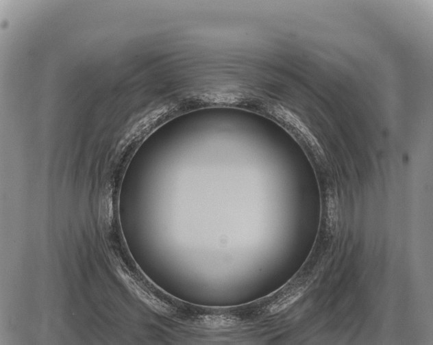 X0000087410541200704271714