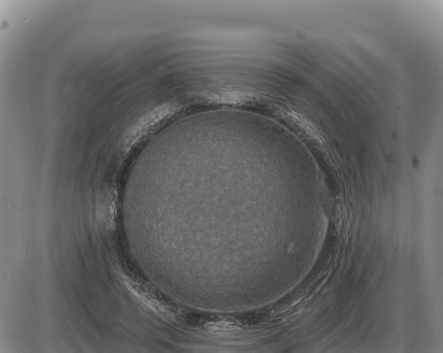 X0000087410544200704271715