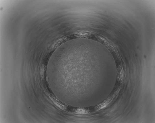 X0000087410562200704271715