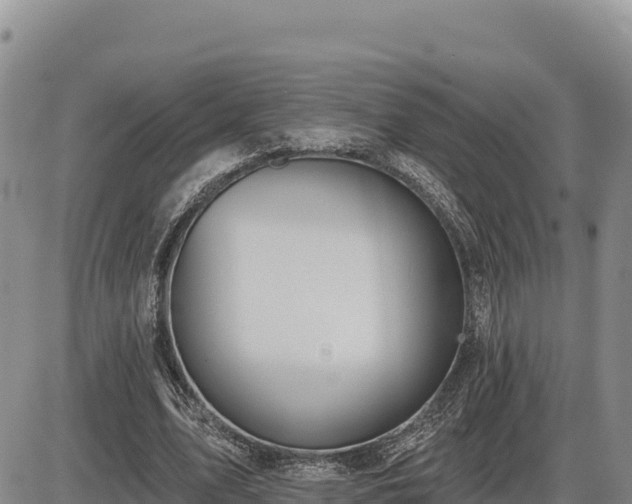 X0000087410583200704271714