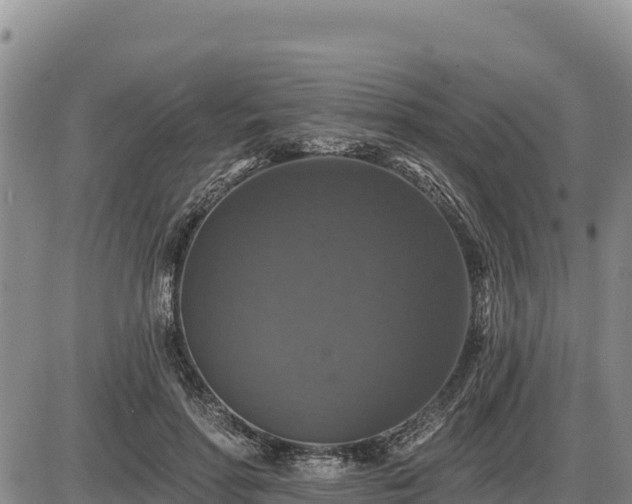 X0000087410598200704271714