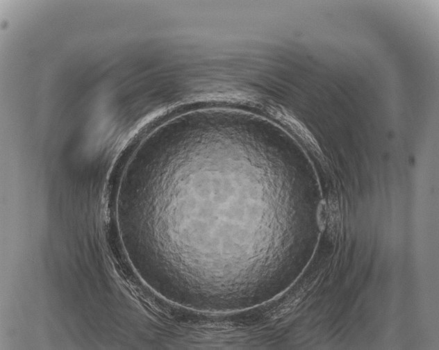 X0000087410628200704271713