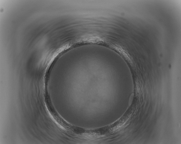 X0000087410630200704271713