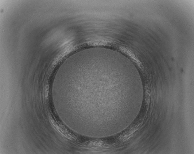 X0000087410631200704271713