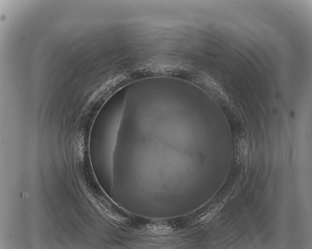 X0000087410644200704271713