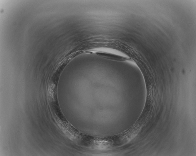 X0000087410650200704271713