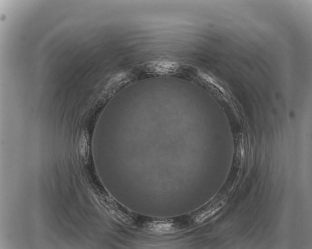 X0000087410651200704271713