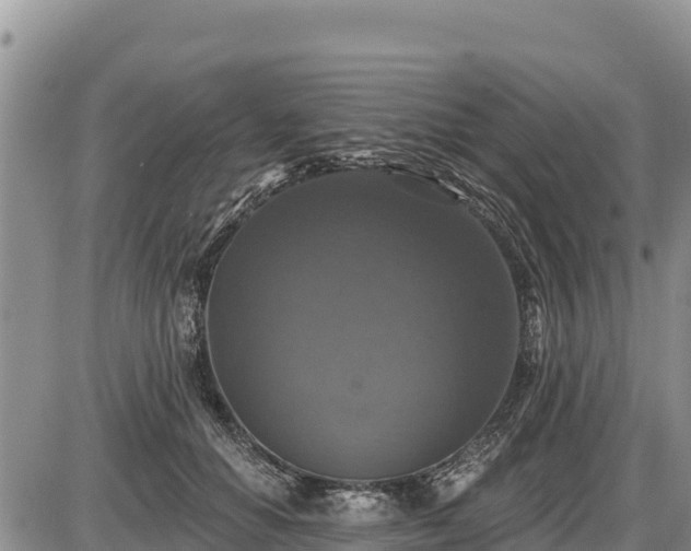 X0000087410654200704271713
