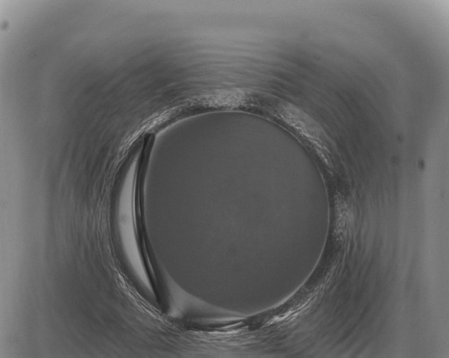 X0000087410681200704271713