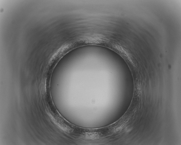 X0000087410686200704271713