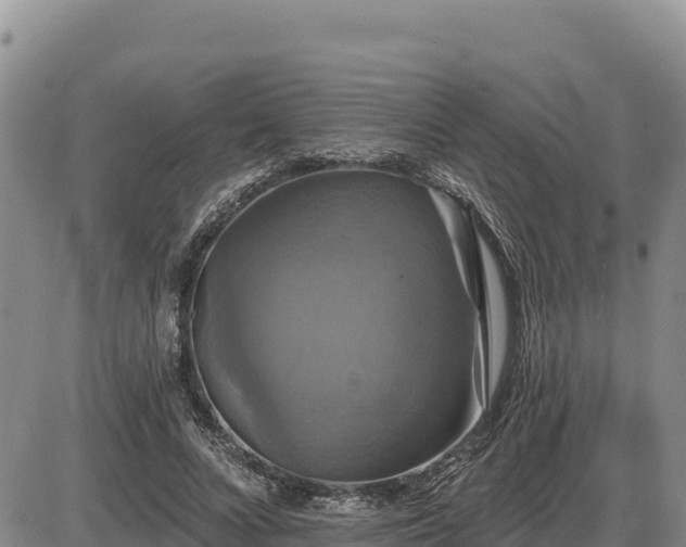 X0000087410688200704271712