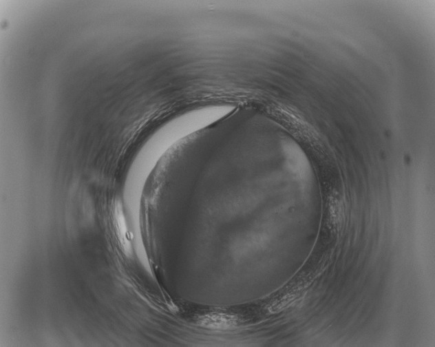 X0000087410691200704271712