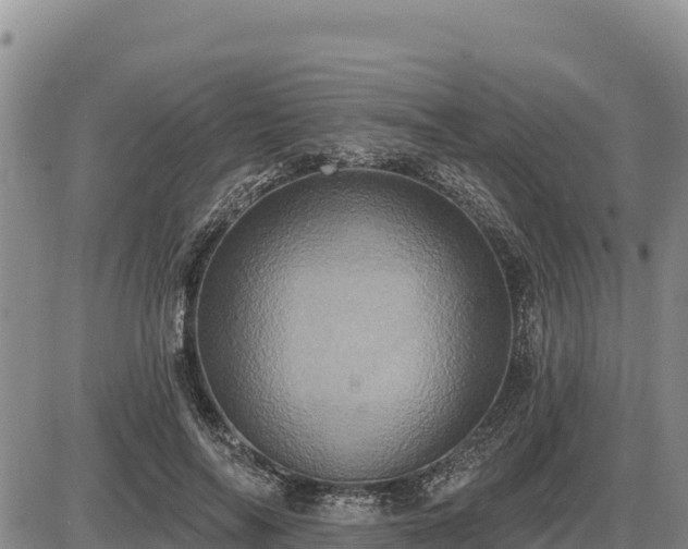 X0000087410694200704271712