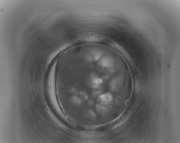 X0000087410725200704271711