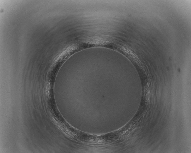 X0000087410735200704271711