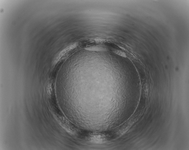 X0000087410746200704271712