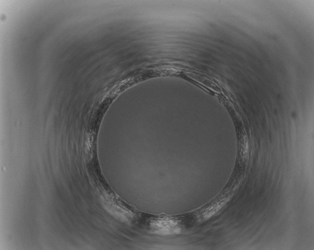 X0000087410759200704271712