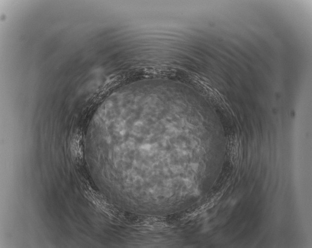 X0000087410770200704271711