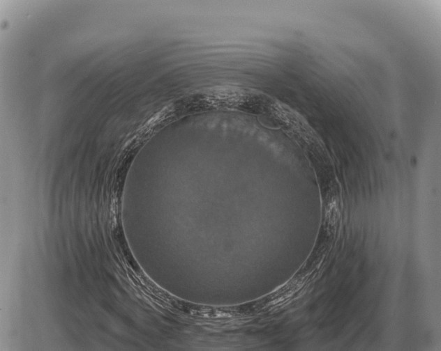 X0000087410772200704271711