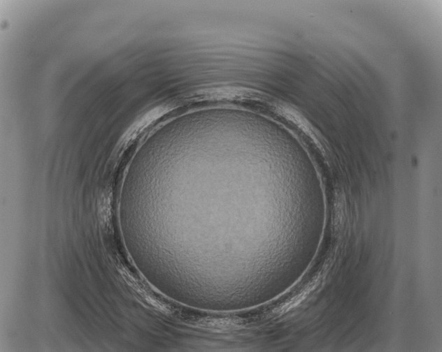 X0000087410778200704271711