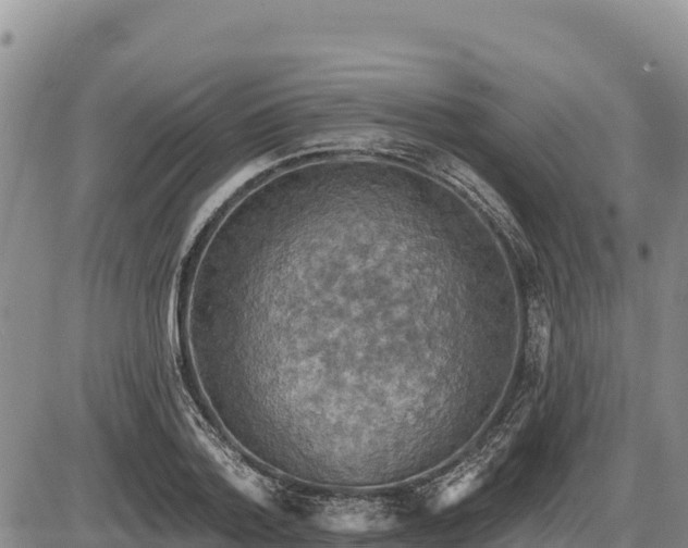 X0000087410788200704271711