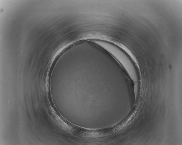 X0000087410791200704271711