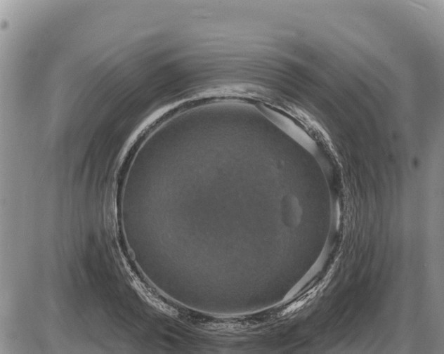 X0000087410792200704271711