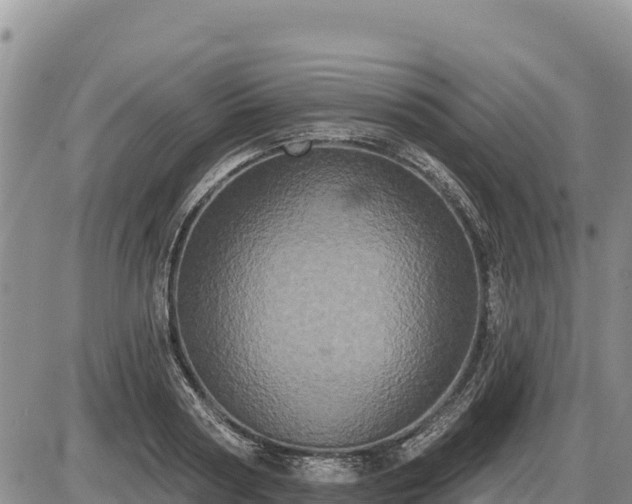X0000087410794200704271711