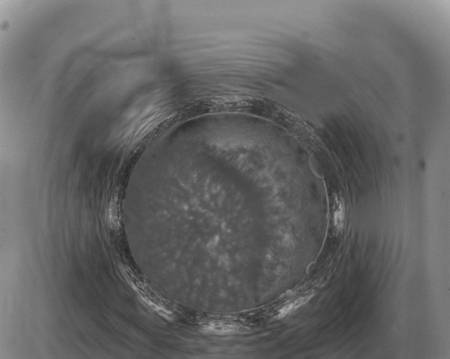 X0000087410819200704271710