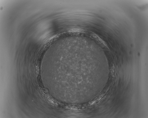 X0000087410821200704271710