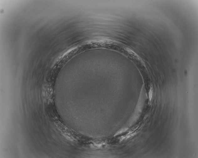 X0000087410822200704271710
