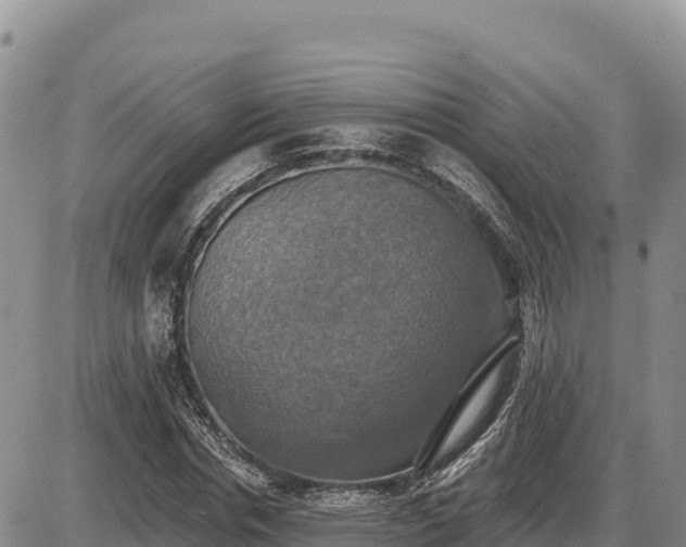 X0000087410826200704271710