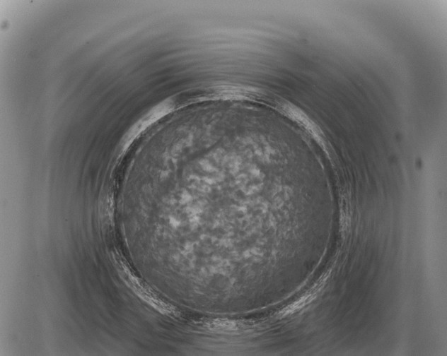 X0000087410827200704271710