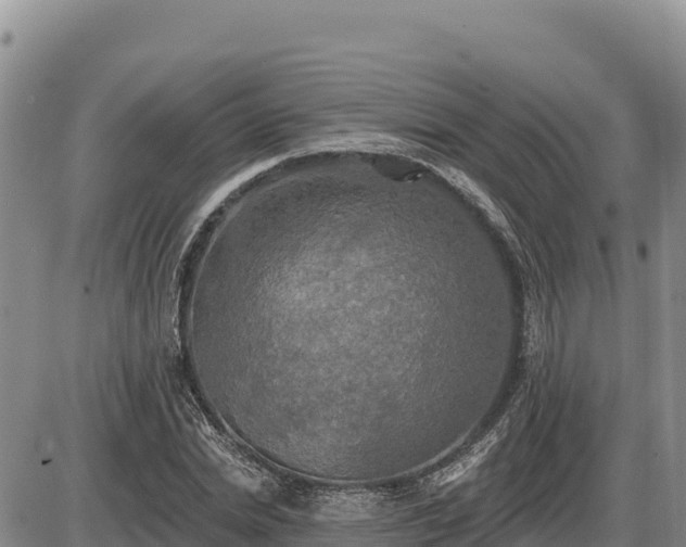 X0000087410830200704271710