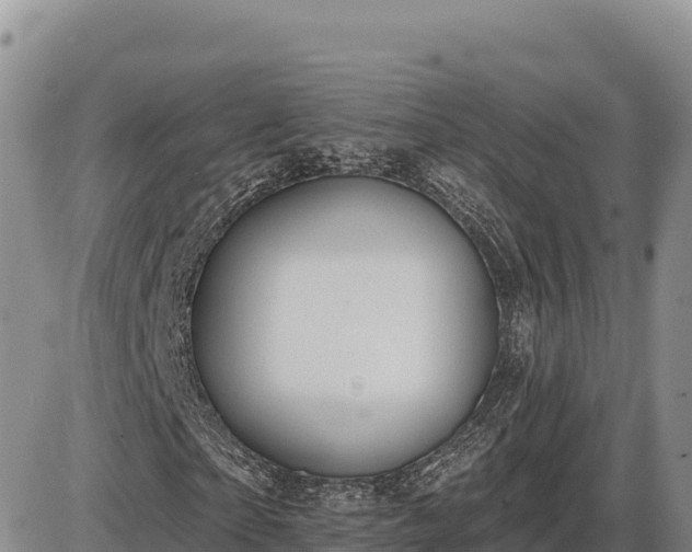 X0000087410865200704271710