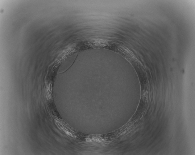 X0000087410866200704271710