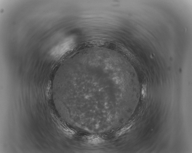 X0000087410867200704271710