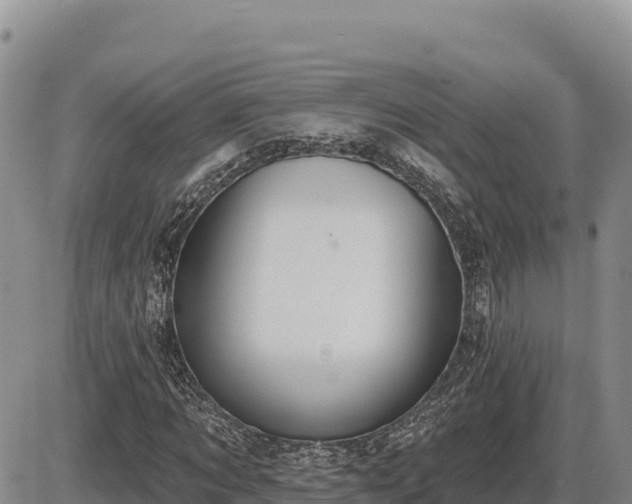 X0000087410869200704271710